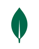 MongoDB